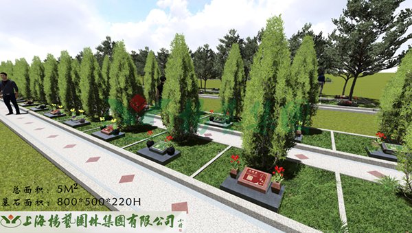 沙巴电竞·(中国)官方网站 - APP下载