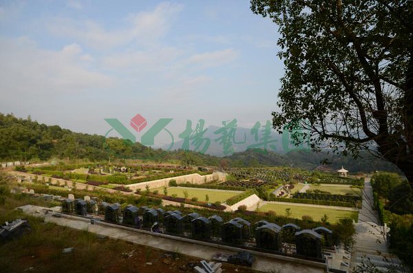沙巴电竞·(中国)官方网站 - APP下载