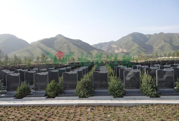 沙巴电竞·(中国)官方网站 - APP下载