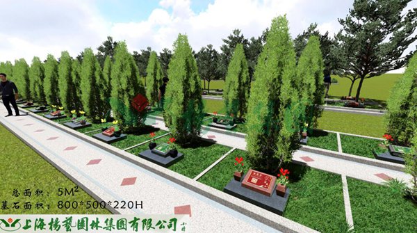 沙巴电竞·(中国)官方网站 - APP下载