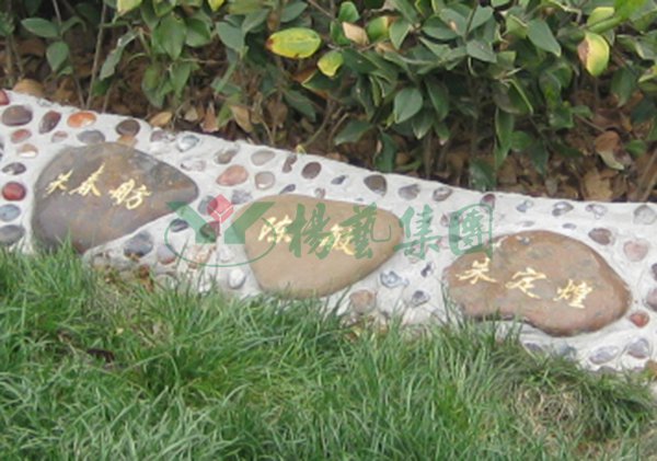 沙巴电竞·(中国)官方网站 - APP下载