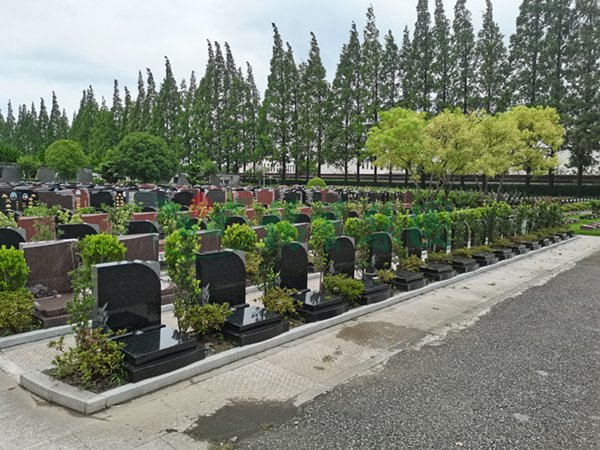 沙巴电竞·(中国)官方网站 - APP下载