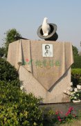 张慧冲