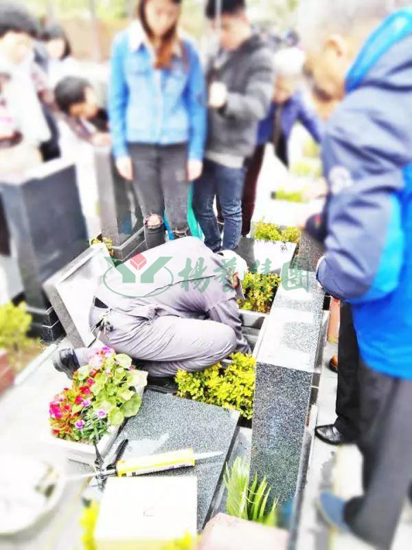 沙巴电竞·(中国)官方网站 - APP下载
