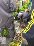 【沙巴电竞人别样清明】2018年清明落葬工作圆满完成