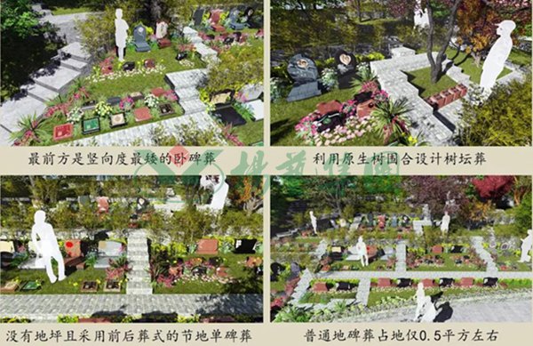 沙巴电竞·(中国)官方网站 - APP下载