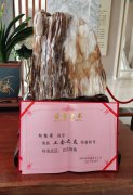 杨桂荣荣膺南浔区总工会“工会之友”荣誉称号