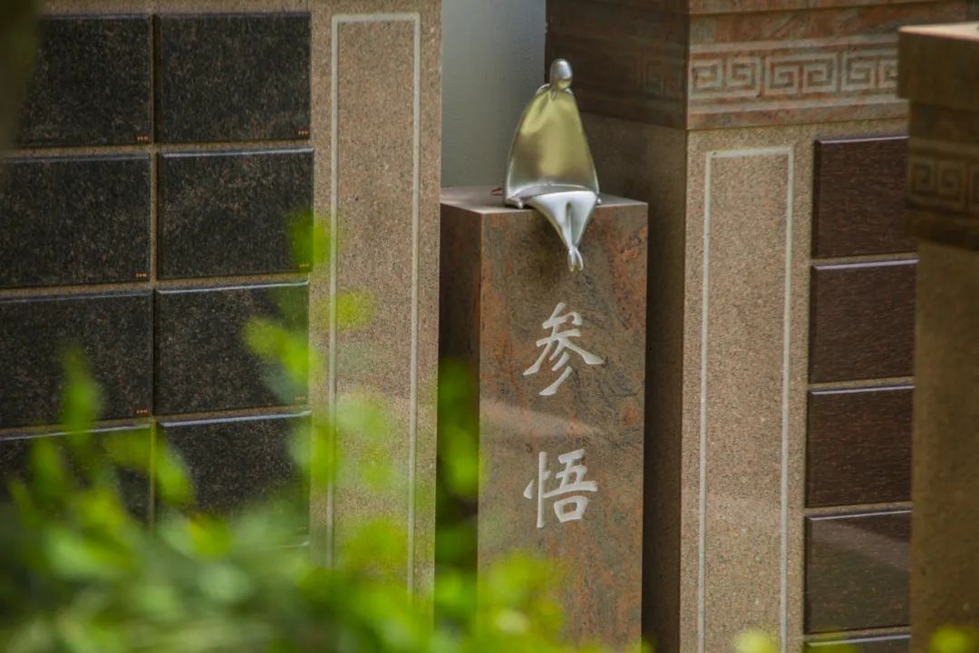 沙巴电竞·(中国)官方网站 - APP下载