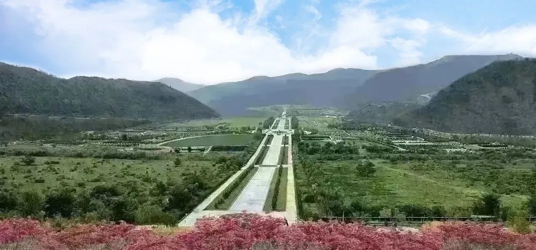 沙巴电竞·(中国)官方网站 - APP下载
