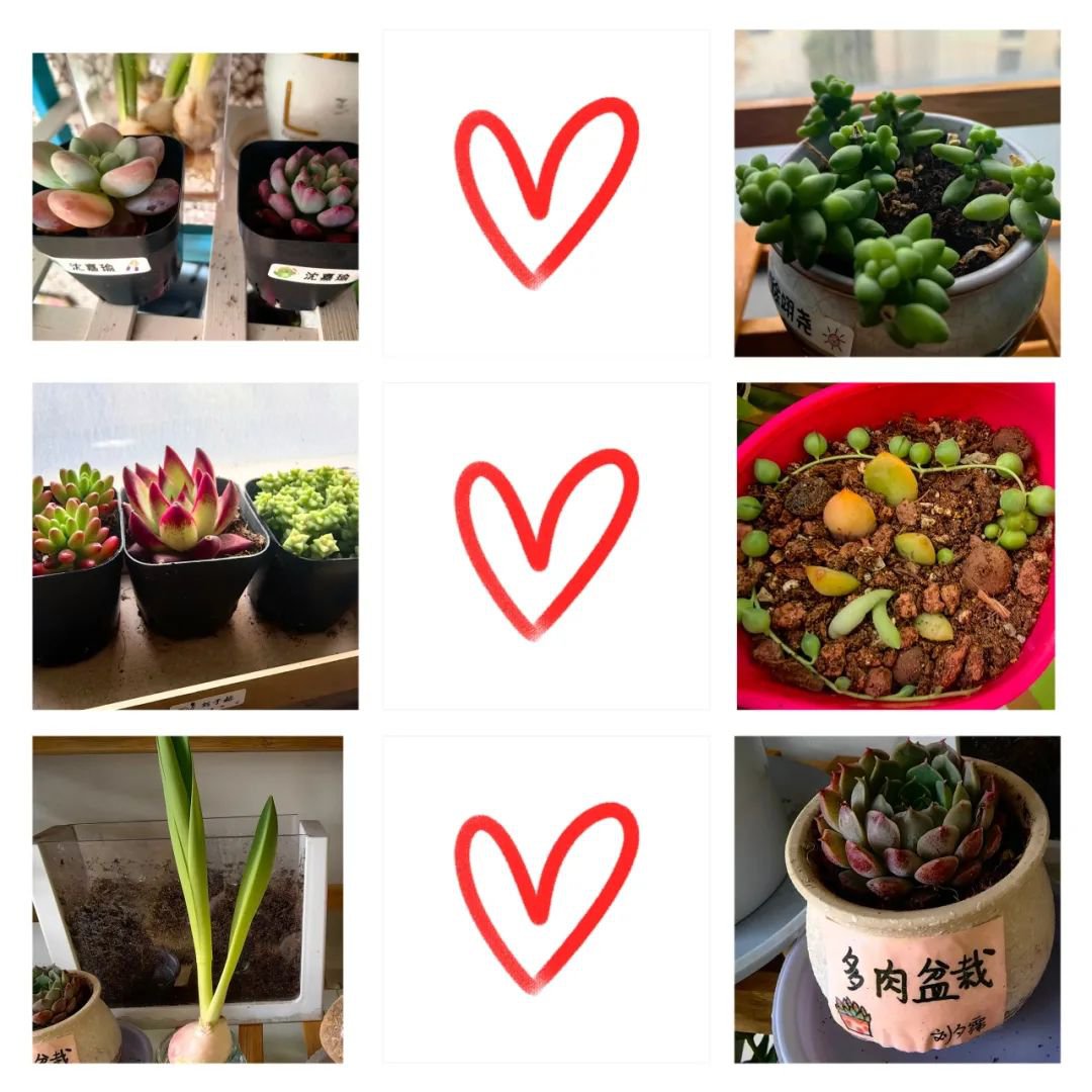 沙巴电竞·(中国)官方网站 - APP下载