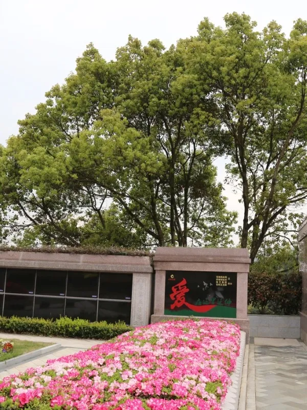 沙巴电竞·(中国)官方网站 - APP下载