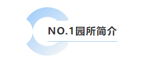 沙巴电竞·(中国)官方网站 - APP下载