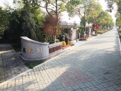 城市最后一平米：生态葬，是与天然的和解？还是无奈的选择？
